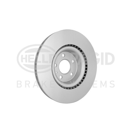 Pagid Brakes Brake Disc, 355125171 355125171